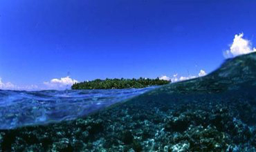 bleu